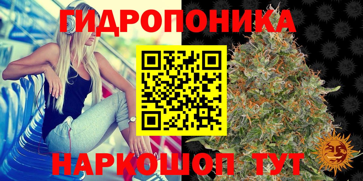 Конопля Bruce Banner  Бошки Шишки планчик  Конопля тримм  Вход с VPN  Улан-Удэ 